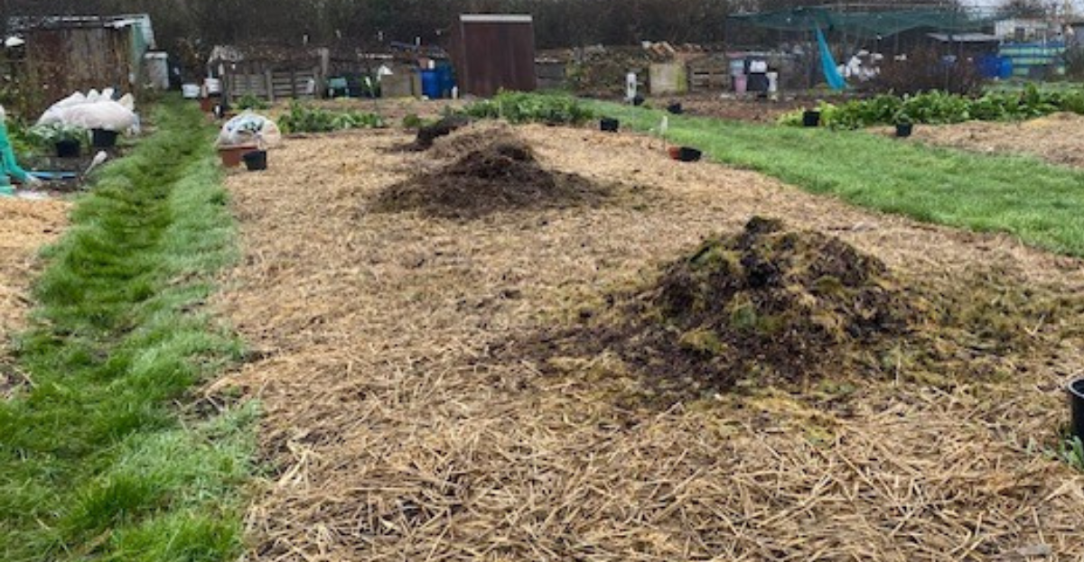 February allotment
